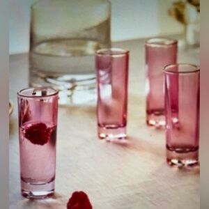 ❤️ ANTHROPOLOGIE MORGAN PINK SHOT GLASSES SET OF 4 NEW